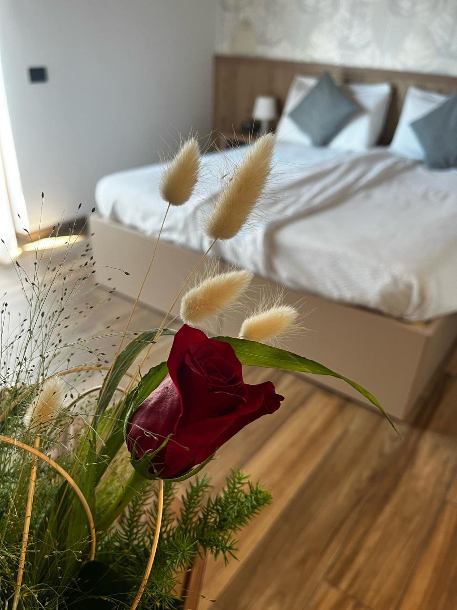 Agriturismo Maso Miri Trento Dış mekan fotoğraf